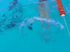 IMG-1410aba25b37c9307fe0f2a7047bc623-V