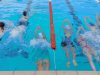 IMG-812535fcc0f7ca229f5dfe1640118fc9-V