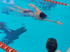 IMG-9ea1bf8379523d3860806a2ce33a1234-V