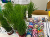 IMG-20241128-WA0000