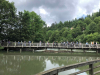 IMG-4cff095ab4f25b515bf528a9f6129b3e-V
