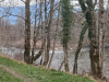 20250210_152132_resized