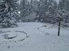 Resized_20250214_113923_1739529592286