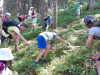 IMG-28146ad5f3761f19e343c51f34e044ee-V